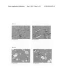 FORMULATIONS, SALTS AND POLYMORPHS OF TRANSNORSERTRALINE AND USES THEREOF diagram and image