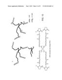 COMPOSITIONS COMPRISING MODIFIED COLLAGEN AND USES THEREFOR diagram and image