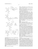 Novel HSP90 Inhibitor diagram and image