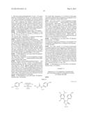 Novel HSP90 Inhibitor diagram and image