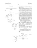 Novel HSP90 Inhibitor diagram and image