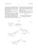 Novel HSP90 Inhibitor diagram and image