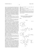 Novel HSP90 Inhibitor diagram and image