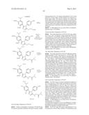 Novel HSP90 Inhibitor diagram and image