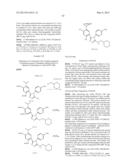 Novel HSP90 Inhibitor diagram and image