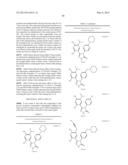 Novel HSP90 Inhibitor diagram and image