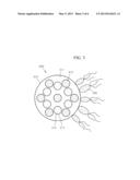 BACTERIUM-BASED MICROROBOT INCLUDING MAGNETIC PARTICLES diagram and image