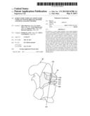 SCREW GUIDE TEMPLATE, SCREW GUIDE TEMPLATE SYSTEM, DRILLING METHOD, AND     SPINAL FIXATION METHOD diagram and image