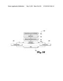 LOAD-BALANCING DYNAMIC WEB SERVICES SYSTEM AND METHOD diagram and image