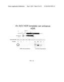 GENETICALLY MODIFIED ANIMALS AND METHODS FOR MAKING THE SAME diagram and image