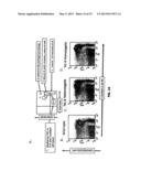 HUMANIZED IL-6 AND IL-6 RECEPTOR diagram and image