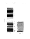 REGULATORY POLYNUCLEOTIDES AND USES THEREOF diagram and image