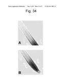 REGULATORY POLYNUCLEOTIDES AND USES THEREOF diagram and image