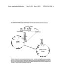 Herbicide resistant Camelina Sativa diagram and image
