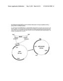 Herbicide resistant Camelina Sativa diagram and image