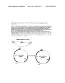 Herbicide resistant Camelina Sativa diagram and image