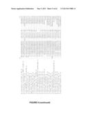 Plants Having Enhanced Yield-Related Traits and a Method for Making the     Same diagram and image