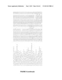 Plants Having Enhanced Yield-Related Traits and a Method for Making the     Same diagram and image