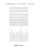 Plants Having Enhanced Yield-Related Traits and a Method for Making the     Same diagram and image