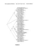 Plants Having Enhanced Yield-Related Traits and a Method for Making the     Same diagram and image