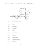 PROCESSES FOR ACCELERATING PLANT GROWTH AND INCREASING CELLULOSE YIELD diagram and image