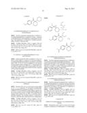 METAL FREE BLEACHING COMPOSITION diagram and image