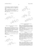 METAL FREE BLEACHING COMPOSITION diagram and image