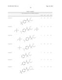 METAL FREE BLEACHING COMPOSITION diagram and image