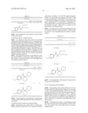 METAL FREE BLEACHING COMPOSITION diagram and image