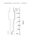 METHODS FOR USING A NANOPORE diagram and image