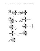 METHODS FOR USING A NANOPORE diagram and image