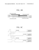 DISPLAY APPARATUS AND DRIVING METHOD THEREOF diagram and image