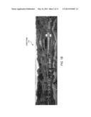 Seam-Based Reduction and Expansion of Images Using Partial Solution Matrix     Dependent on Dynamic Programming Access Pattern diagram and image