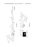 FLUORESCENCE DETECTION OF POISON OAK OIL diagram and image