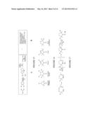 FLUORESCENCE DETECTION OF POISON OAK OIL diagram and image