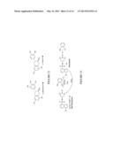 FLUORESCENCE DETECTION OF POISON OAK OIL diagram and image