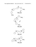 OPTICAL DETERMINATION OF GLUCOSE UTILIZING BORONIC ACID ADDUCTS diagram and image