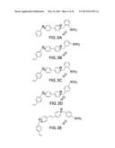 OPTICAL DETERMINATION OF GLUCOSE UTILIZING BORONIC ACID ADDUCTS diagram and image