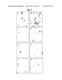 USE OF MESENCHYMAL STEM CELLS FOR COMPLETELY REPOPULATING HOST TISSUE diagram and image