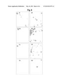 USE OF MESENCHYMAL STEM CELLS FOR COMPLETELY REPOPULATING HOST TISSUE diagram and image