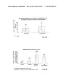 METHOD AND PHARMACOLOGICAL COMPOSITION FOR THE DIAGNOSIS AND TREATMENT OF     MALE SUB-FERTILITY diagram and image