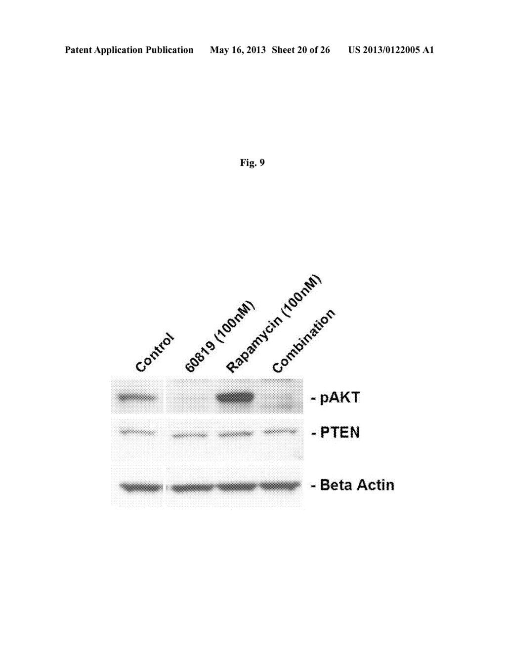 ANTICANCER COMBINATION THERAPY - diagram, schematic, and image 21