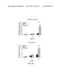 Osteoprotegerin in Neuroprotection diagram and image