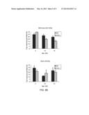 Osteoprotegerin in Neuroprotection diagram and image