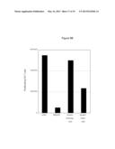 NOVEL INTERFERON-ALPHA-PRODUCING BONE MARROW DENDRITIC CELLS diagram and image