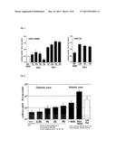 LIPID MEMBRANE STRUCTURE HAVING INTRANUCLEAR MIGRATING PROPERTY diagram and image