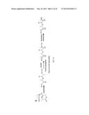 Ratiometric Combinatorial Drug Delivery diagram and image