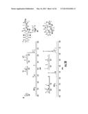 Ratiometric Combinatorial Drug Delivery diagram and image