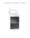 Ratiometric Combinatorial Drug Delivery diagram and image