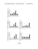 PHARMACEUTICAL COMPOSITION CAPABLE OF IMMUNO-REGULATION OR ENHANCEMENT OF     IMMUNE RESPONSE diagram and image